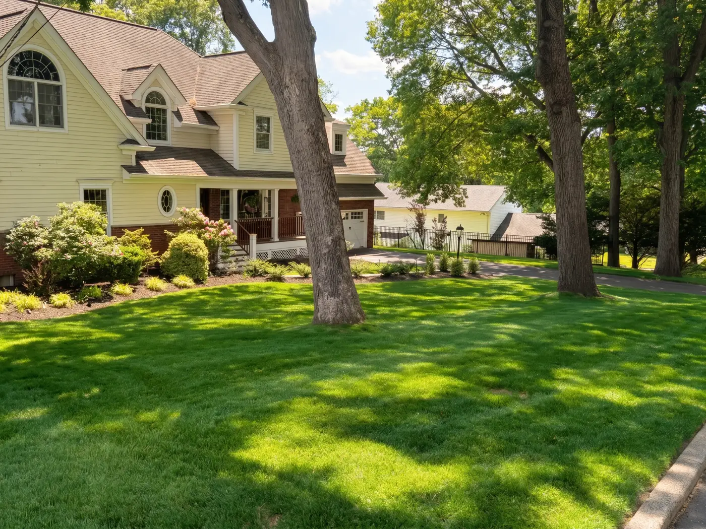 A freshly cut lawn at a customer's home
