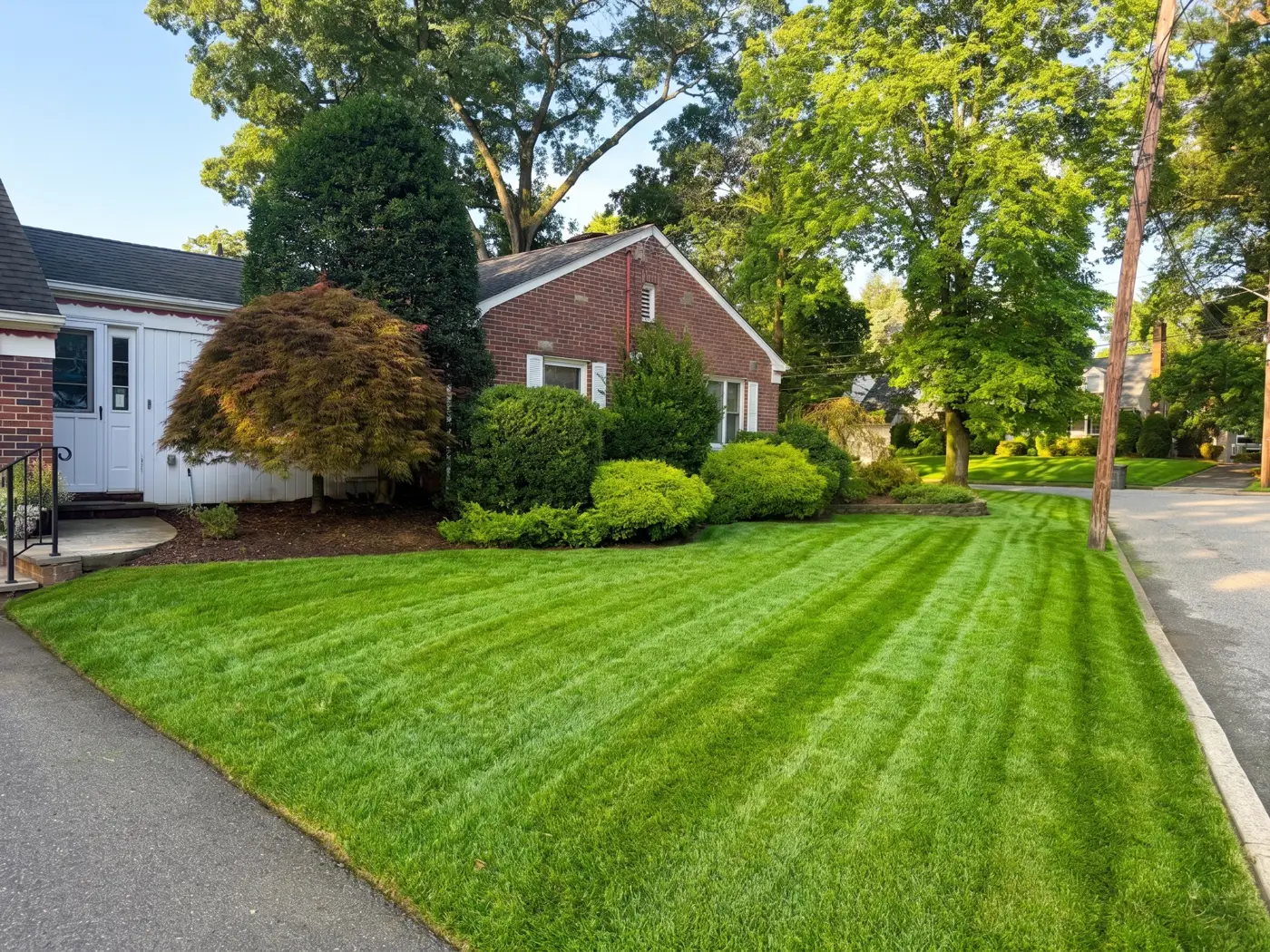 Freshly striped front lawn after a weekly cut